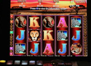 乐竞足球网页登录入口免费版