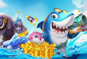 乐竞足球网页登录入口2024最新版